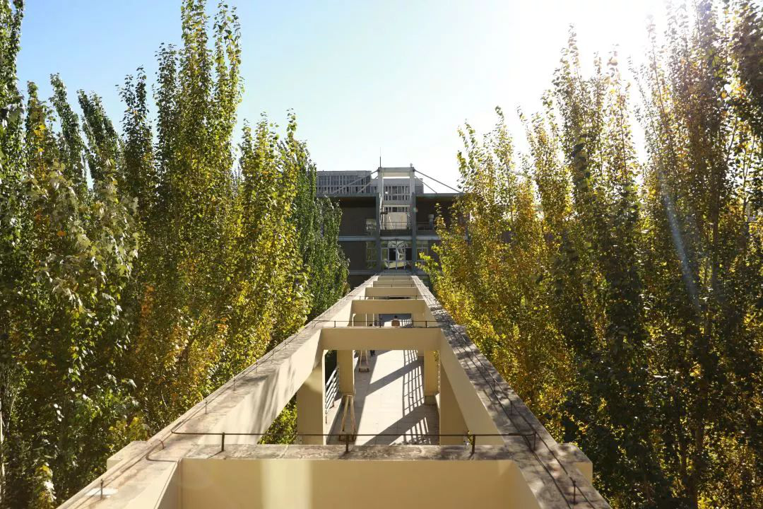 落英缤纷 七彩建大-:::沈阳建筑大学欢迎您