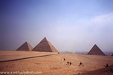 605_img1_28695.jpg